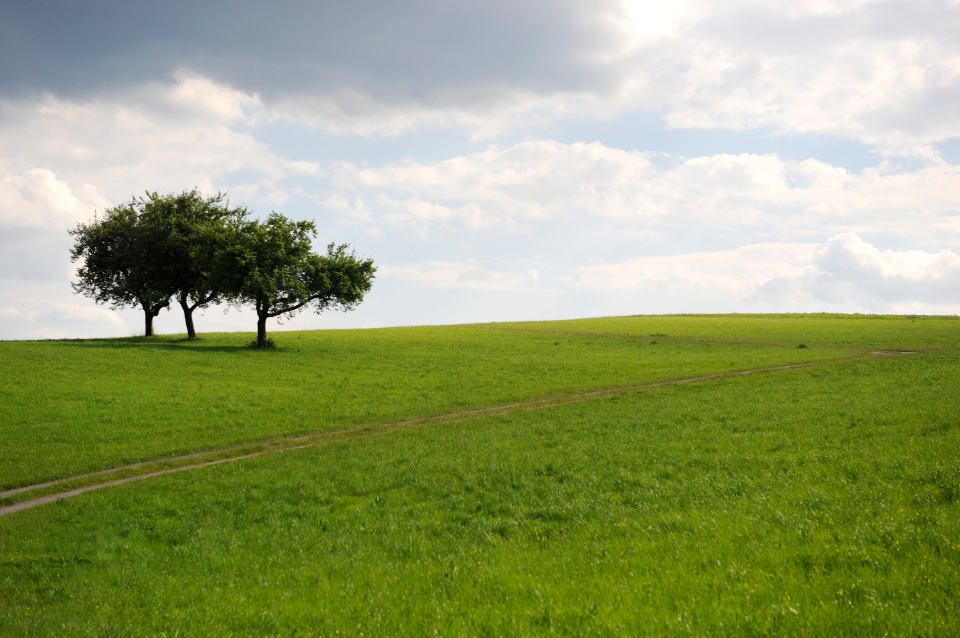Landschaft