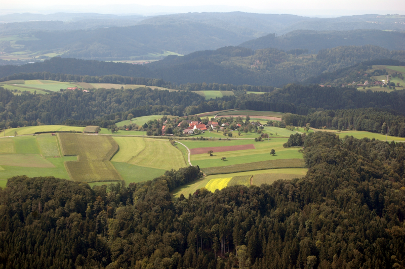 Kieselhof und Umgebung (Luftaufnahme)