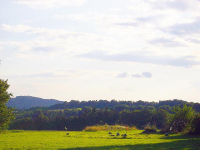 Kieselhof Wiese